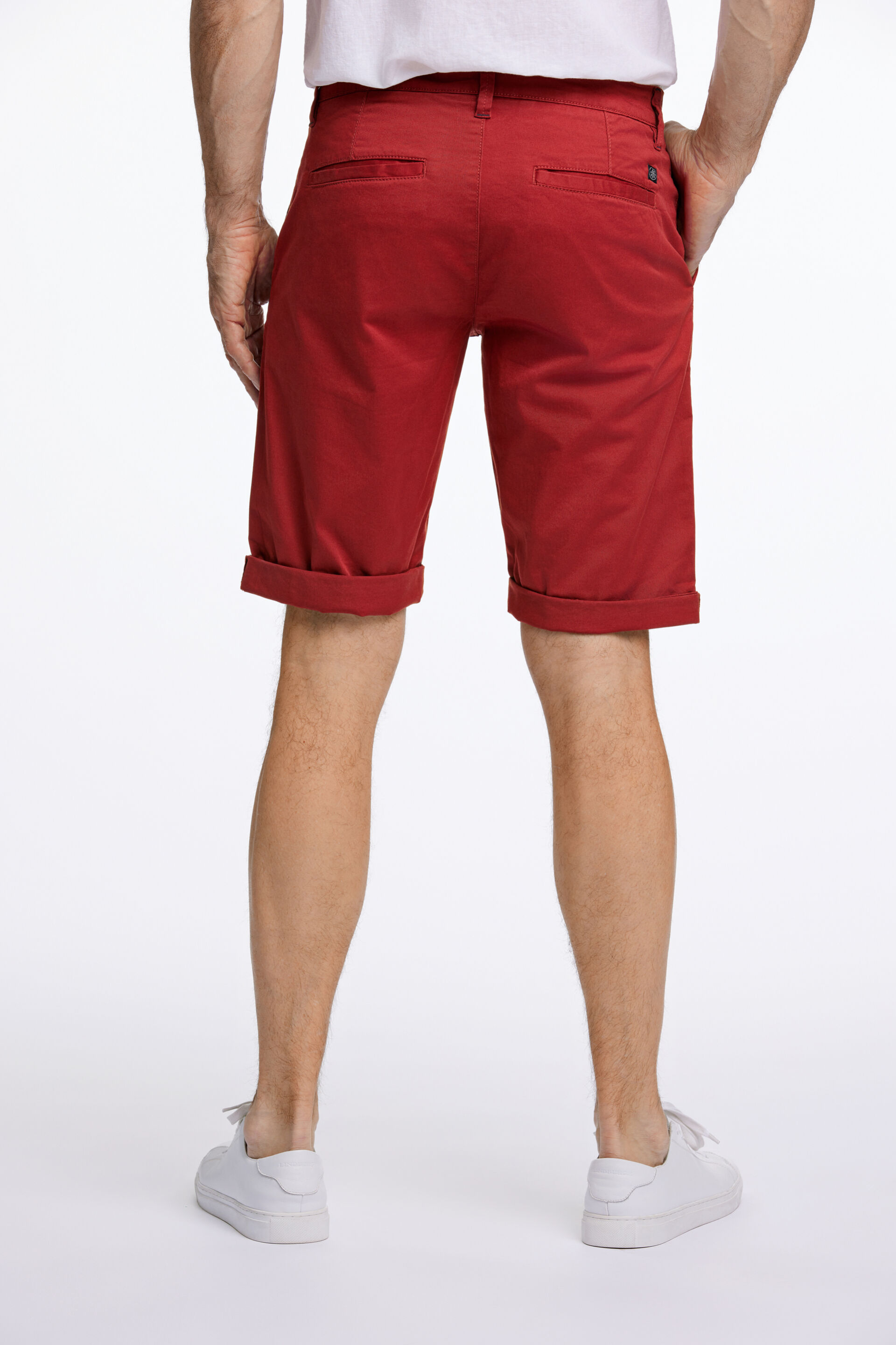 Morgan  Chino shorts 75-550043