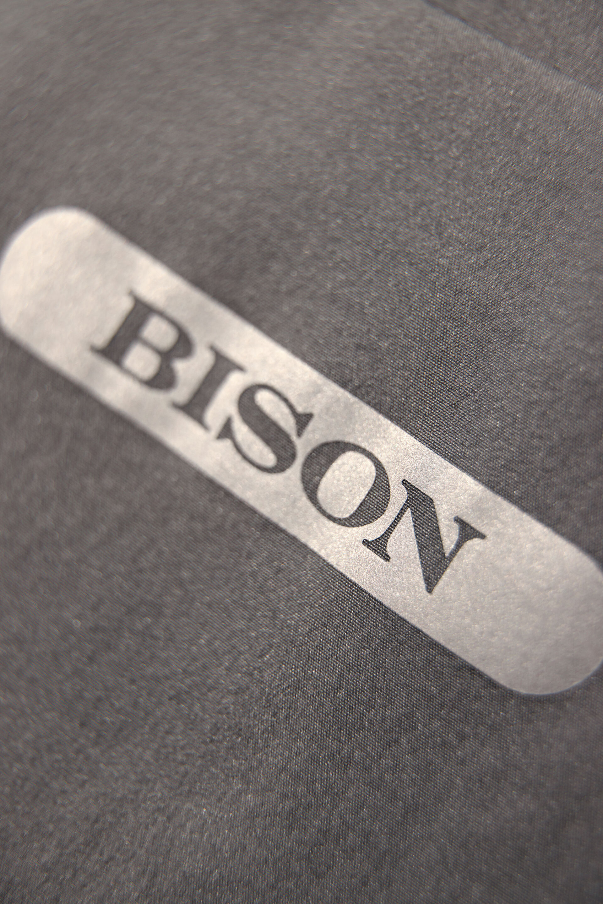 Bison  80-302011A