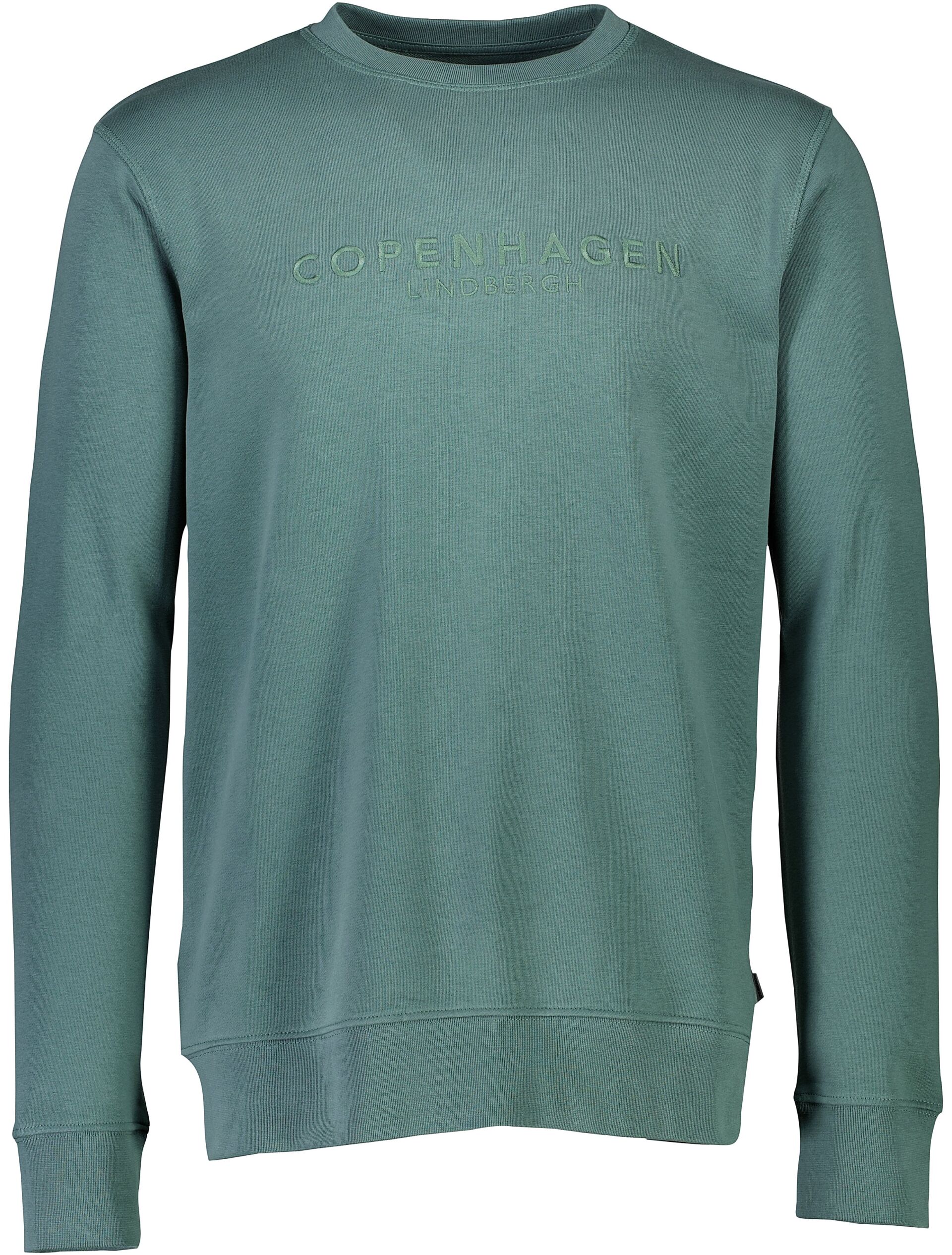 Sweatshirt Sweatshirt Grün 30-705095C