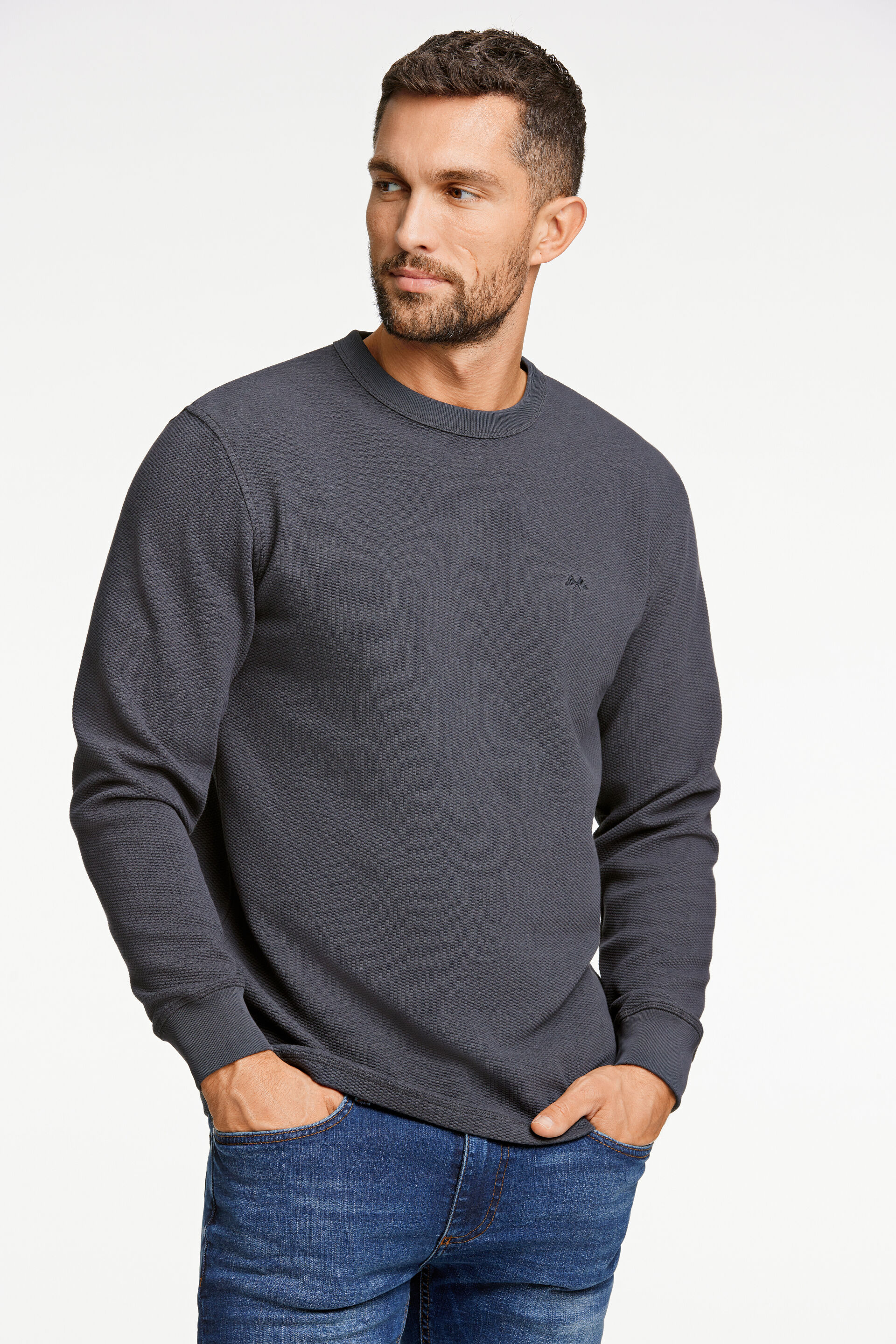 Sweatshirt Sweatshirt Grau 30-722019