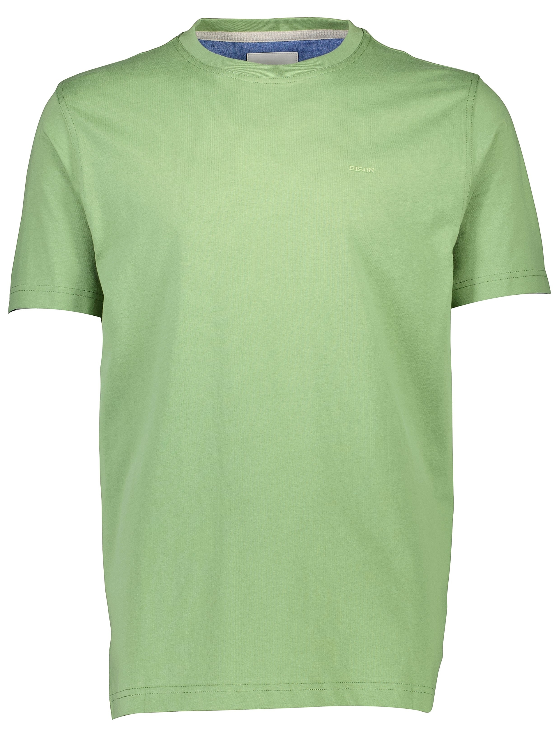 Bison T-shirt grön / lt green 224