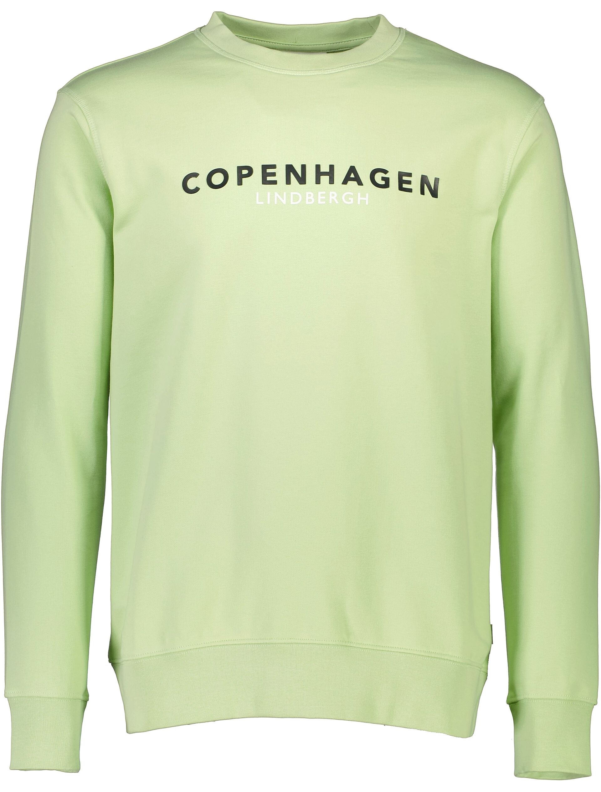 Lindbergh  Sweatshirt Grön 30-705095B
