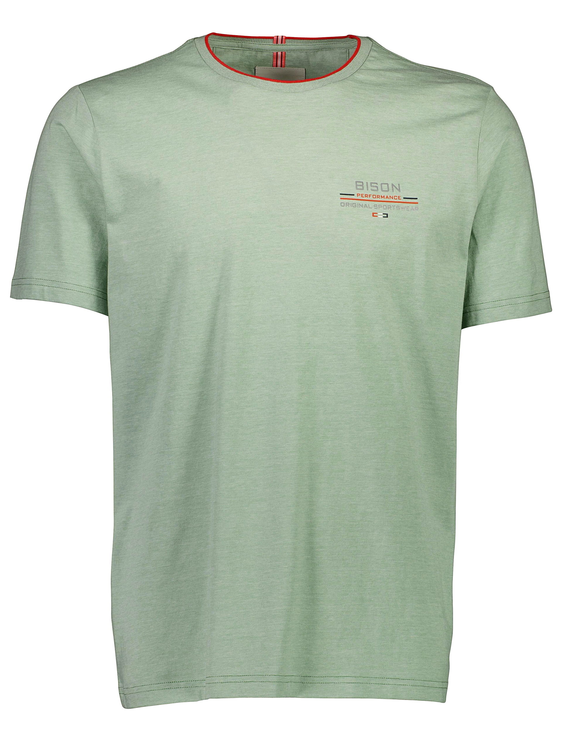 Bison T-shirt grøn / lt green