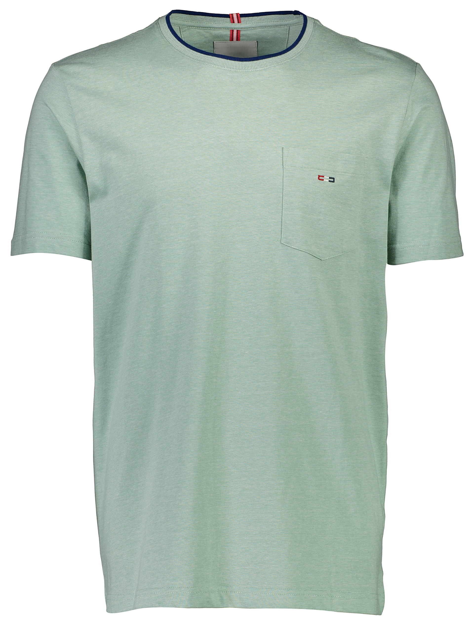 Bison T-shirt grøn / lt green